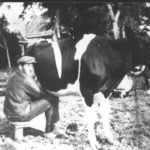 Nanne de Boer a